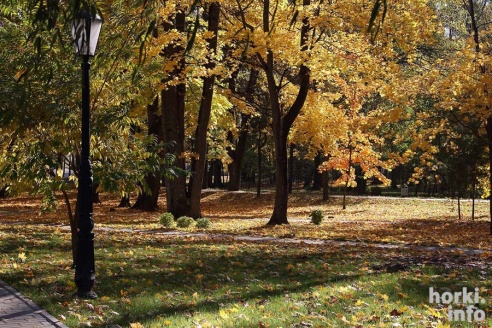 Бабье лето в Горках