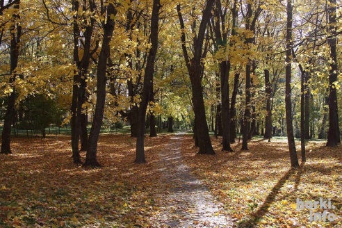 Бабье лето в Горках