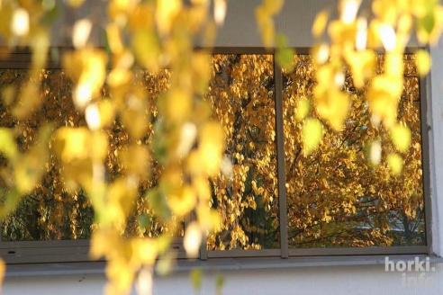 Бабье лето в Горках