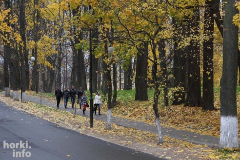 Бабье лето в Горках