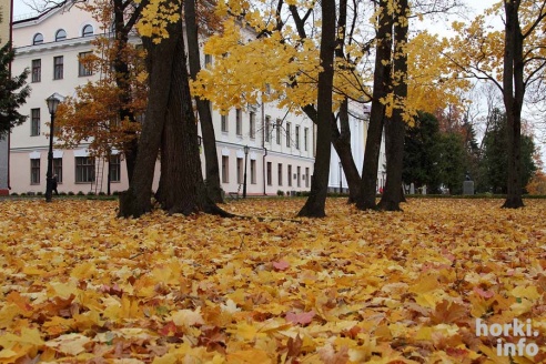 Бабье лето в Горках