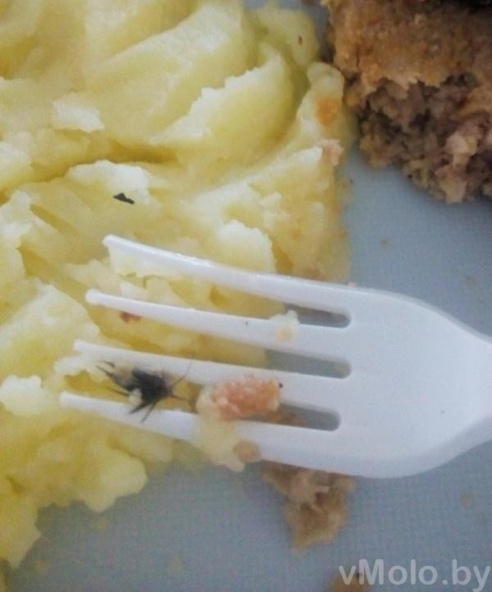 Кусочки шерсти и кожи в шницеле и беляше. Как молодечненцы пообедали в одном из кафе города