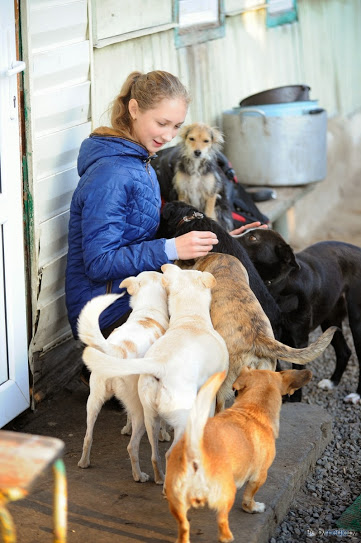 «В месяц они „съедают“ 15 миллионов»: история самого большого в Беларуси приюта для бездомных животных «В месяц они „съедают“ 15 миллионов»: история самого большого в Беларуси приюта для бездомных животных