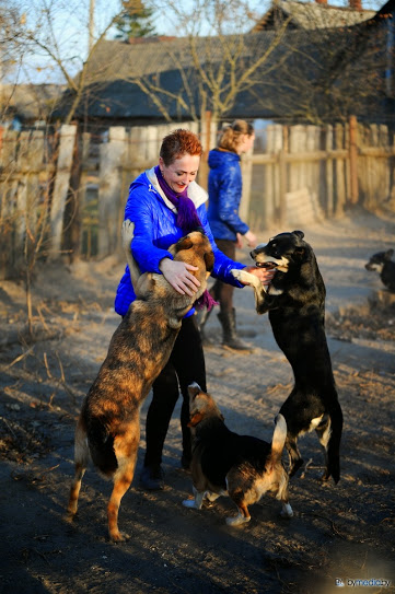 «В месяц они „съедают“ 15 миллионов»: история самого большого в Беларуси приюта для бездомных животных «В месяц они „съедают“ 15 миллионов»: история самого большого в Беларуси приюта для бездомных животных