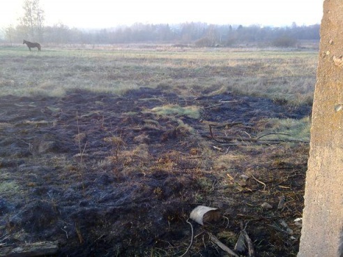 В Барановичском районе мужчина получил ожоги, пытаясь спасти от огня сарай