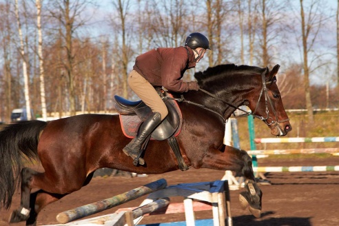 Чем живет Детская конно-спортивная школа в Горках?
