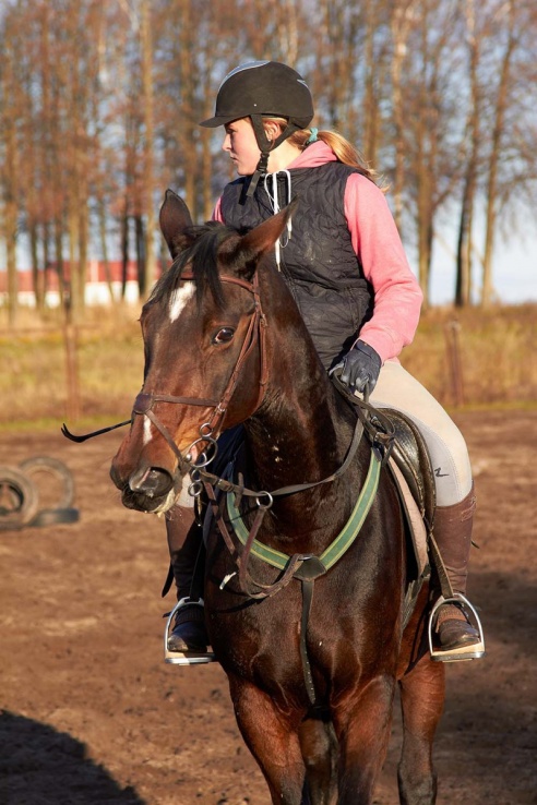 Чем живет Детская конно-спортивная школа в Горках?