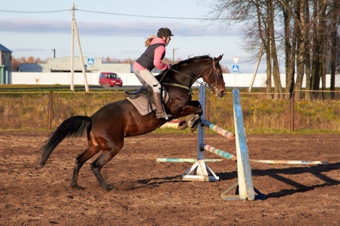 Чем живет Детская конно-спортивная школа в Горках?