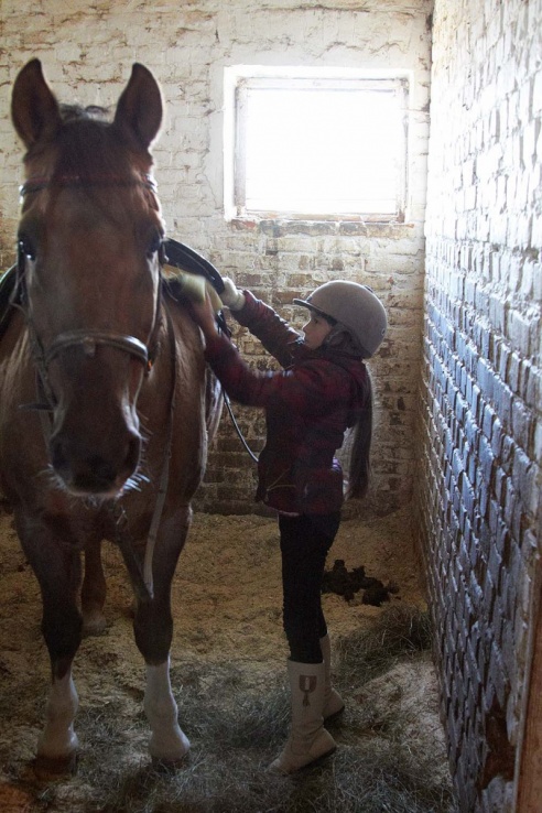 Чем живет Детская конно-спортивная школа в Горках?