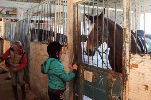 Чем живет Детская конно-спортивная школа в Горках?
