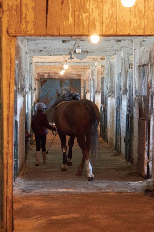 Чем живет Детская конно-спортивная школа в Горках?
