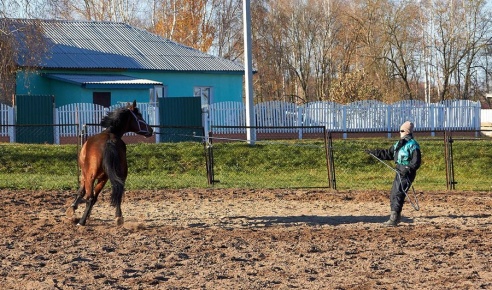 Чем живет Детская конно-спортивная школа в Горках?