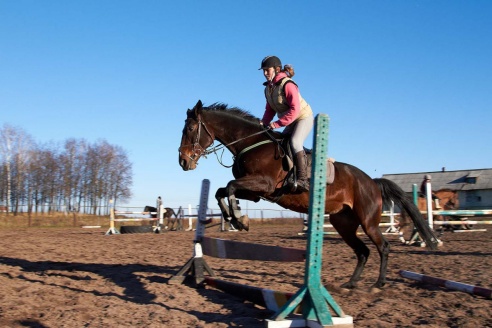 Чем живет Детская конно-спортивная школа в Горках?