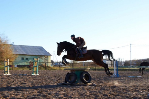 Чем живет Детская конно-спортивная школа в Горках?