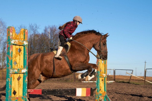 Чем живет Детская конно-спортивная школа в Горках?