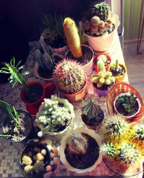 «Подслушано Барановичи» за неделю (31 октября – 6 ноября)