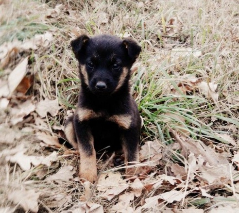 «Подслушано Барановичи» за неделю (7-13 ноября)