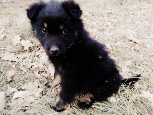 «Подслушано Барановичи» за неделю (7-13 ноября)