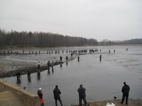 В водохранилище Мышанка Барановичского района спустили воду и разрешили отлов рыбы