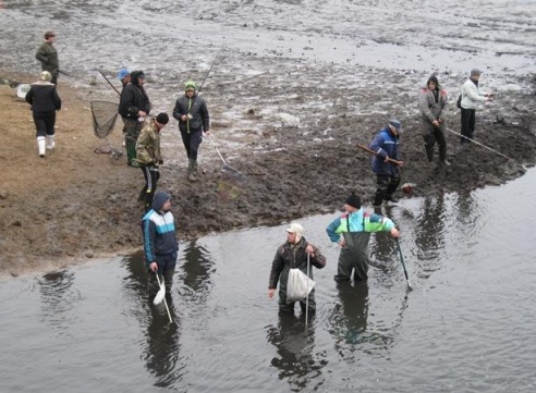 В водохранилище Мышанка Барановичского района спустили воду и разрешили отлов рыбы