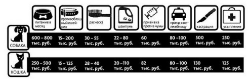 Во сколько обойдется домашний питомец?