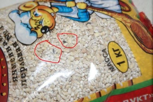 Фотофакт: житель Рогачева купил в магазине перловку с живыми муравьями