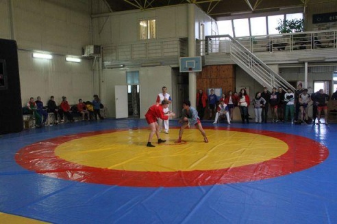 В Барановичах проходит чемпионат по самбо и дзюдо