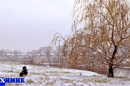 Первый снег в городе над Двиной: фоторепортаж