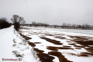 Сельхозпредприятия Волковысского района причинили ущерб природе