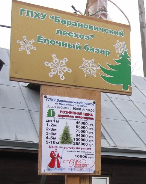 Елочные базары открылись в Барановичах