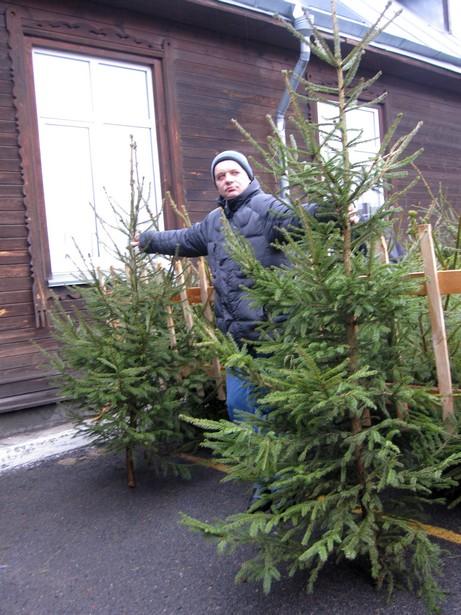 Елочные базары открылись в Барановичах