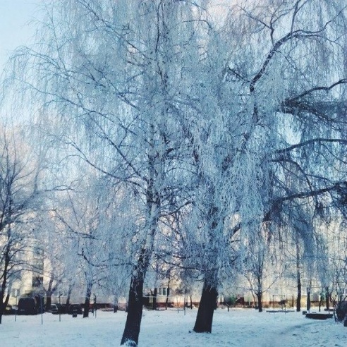 «Подслушано Барановичи» за неделю (22 ноября – 3 декабря)