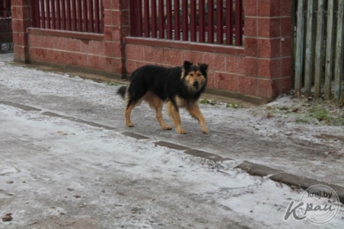 Фельдшер-акушер по распределению в Вилейском районе: Мама очень переживала, что я попала на район (ФОТО)