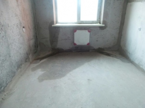 Светлогорским многодетным семьям сдали дом, в котором невозможно жить (фото)