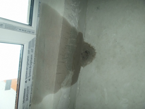 Светлогорским многодетным семьям сдали дом, в котором невозможно жить (фото)