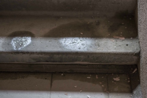 Светлогорским многодетным семьям сдали дом, в котором невозможно жить (фото)