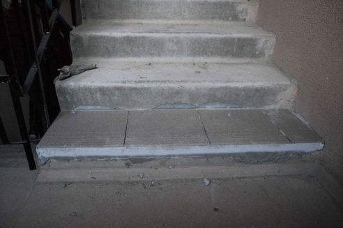 Светлогорским многодетным семьям сдали дом, в котором невозможно жить (фото)