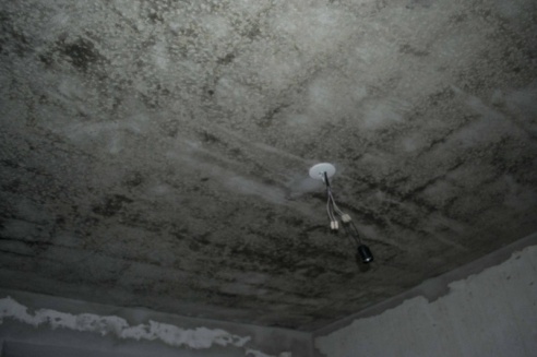 Светлогорским многодетным семьям сдали дом, в котором невозможно жить (фото)