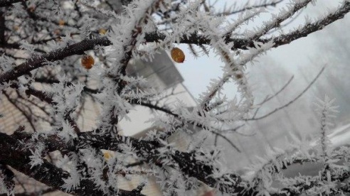 «Подслушано Барановичи» за неделю (4 декабря – 11 декабря)