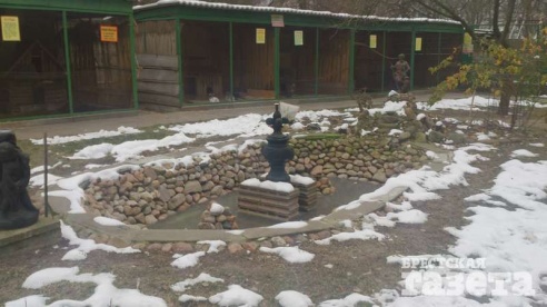 Как аист Вася и другие обитатели живого уголка в брестском городском парке зиму встретили