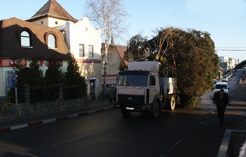 Ёлка завітала раней