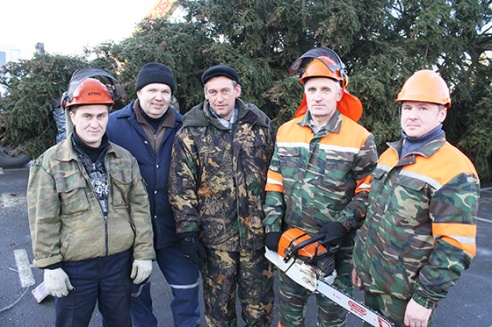 Ёлка завітала раней