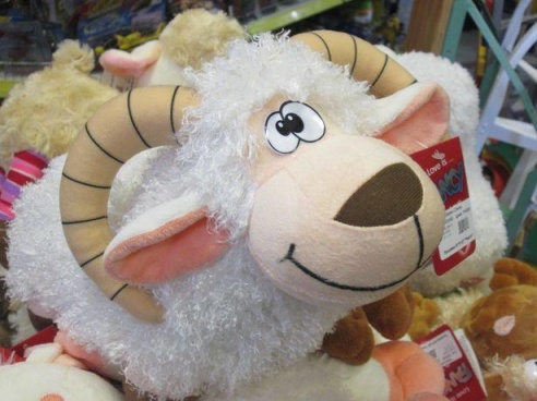 В какие страны поедут жители Барановичей встречать Рождество и Новый год