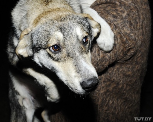 Война волонтеров в Речице: «Где благотворительность и пожертвования, там рано или поздно начинается раздор