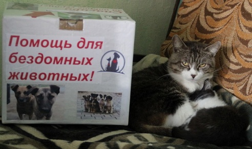 Война волонтеров в Речице: «Где благотворительность и пожертвования, там рано или поздно начинается раздор