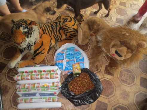 Война волонтеров в Речице: «Где благотворительность и пожертвования, там рано или поздно начинается раздор