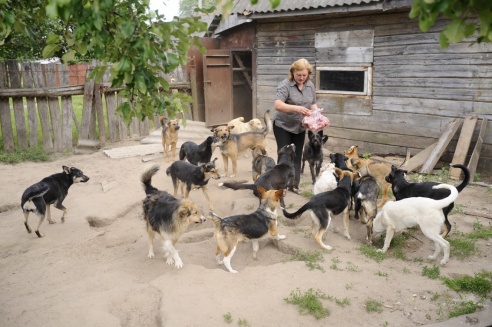 Война волонтеров в Речице: «Где благотворительность и пожертвования, там рано или поздно начинается раздор