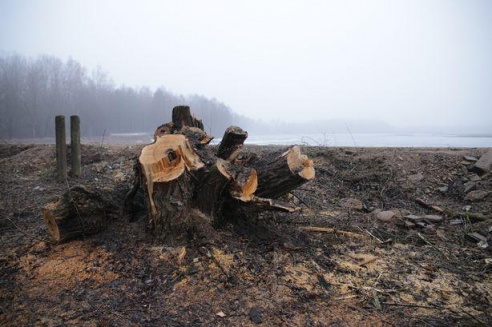 На водохранилище Мышанка Барановичского района началась реконструкция дамбы