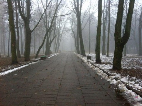 «Подслушано Барановичи» за неделю (11 декабря – 18 декабря)