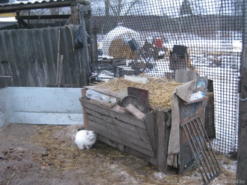 Следы «чупакабры» теперь под Слуцком